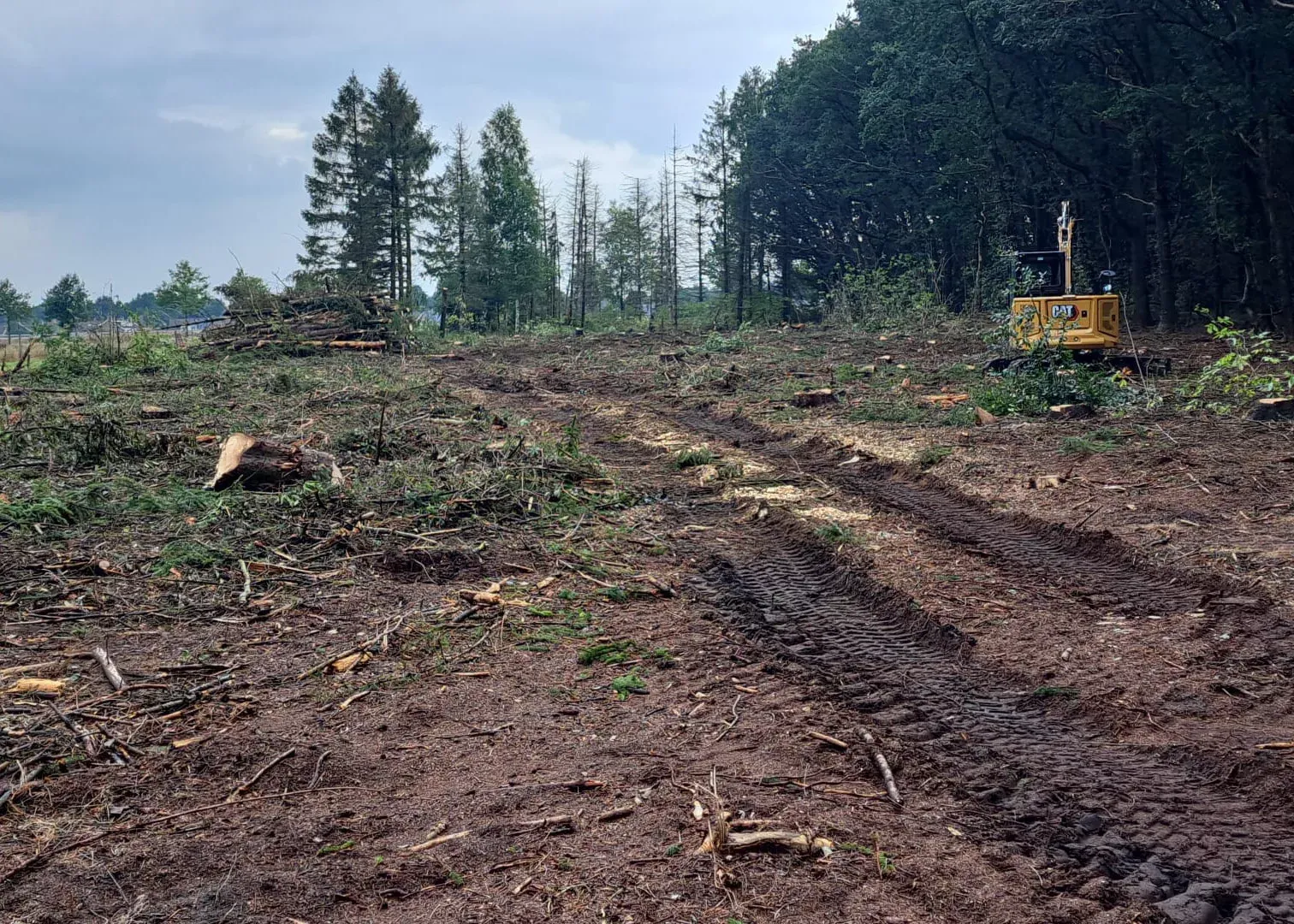 Bomen kappen en singels afzetten – Stroeve Bos en Groen