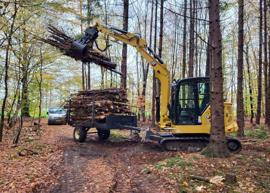 Bomen kappen singels afzetten – Stroeve Bos en Groen