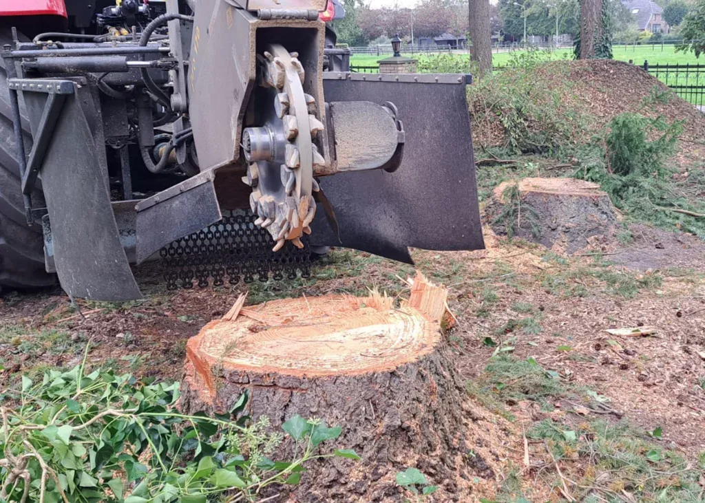 Boomstobfrezen – Stroeve Bos en Groen