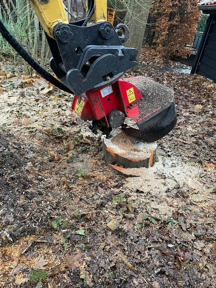 Bomen kappen en stobbenfrezen – Stroeve Bos en Groen